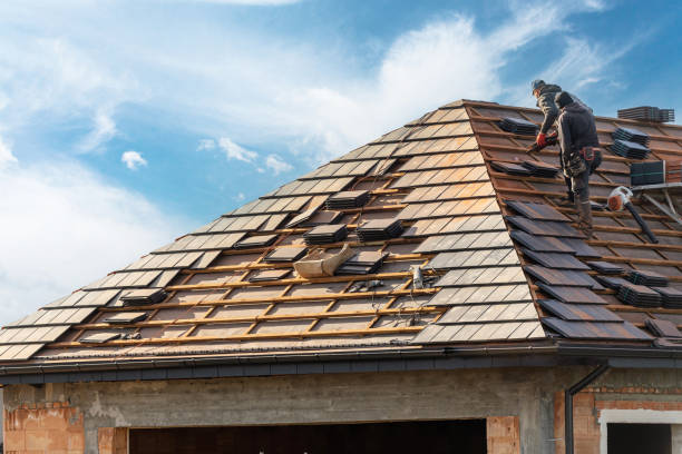 Best Roof Moss and Algae Removal  in Pinecrest, FL